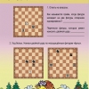 "Шахматы для дошкольников и младших школьников. Часть 2" Абрамов С, Касаткина В. - «globural.ru» - Кировград
