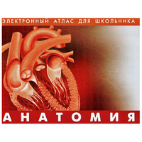 Анатомия. (Цифровой атлас школьника) - «globural.ru» - Кировград