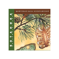 Ботаника. Микрофотографии. (Цифровая база изображений) - «globural.ru» - Кировград