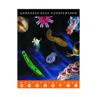 Зоология. Микрофотографии. (Цифровая база изображений) - «globural.ru» - Кировград