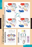 Физика. Электромагнетизм (комплект таблиц) - «globural.ru» - Кировград