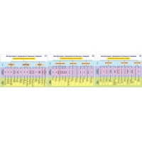 Плакаты ПРОФТЕХ "Ассортимент продовольственных товаров" (3 пл, винил, 70х100) - «globural.ru» - Кировград