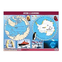 Таблица демонстрационная "Арктика и Антарктика" (винил 100х140) - «globural.ru» - Кировград