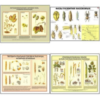Плакаты ПРОФТЕХ "Вредители и болезни с/х культур и меры борьбы с ними" (11 пл, винил, 70х100) - «globural.ru» - Кировград