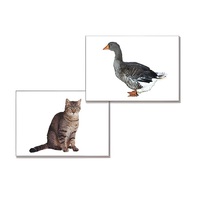 Дидактическое пособие "Домашние животные" (24 карточки, А4, ламинированное) - «globural.ru» - Кировград