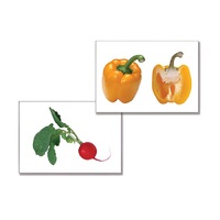 Дидактическое пособие "Овощи" (24 карточки, А4, ламинированное) - «globural.ru» - Кировград