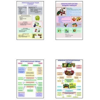 Плакаты ПРОФТЕХ "Классификация овощей и переработка" (8 пл, винил, 70х100) - «globural.ru» - Кировград