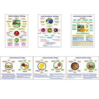 Плакаты ПРОФТЕХ "Плоды" (6 пл, винил, 70х100) - «globural.ru» - Кировград