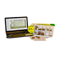 Коллекция натурально-интерактивная "Палеонтологическая" - «globural.ru» - Кировград