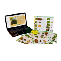 Коллекция натурально-интерактивная "Шишки, плоды, семена деревьев и кустарников" - «globural.ru» - Кировград