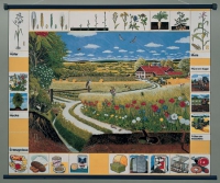 Магнитный плакат "Природное сообщество поля" - «globural.ru» - Кировград