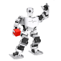 Базовый робототехнический набор  "Техник" для изучения систем управления робототехническими комплексами и андроидными роботами "Сережа ИН Про". Полный комплект на Raspbery Pi - «globural.ru» - Кировград