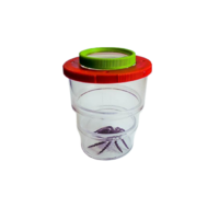 Коробка для изучения насекомых с лупой (вариант 2) - «globural.ru» - Кировград