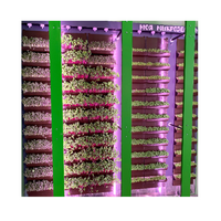 Вертикальная ферма "Моя Микрозелень" комплектация Школьная - «globural.ru» - Кировград