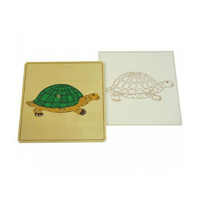 Строение черепахи с контуром - «globural.ru» - Кировград