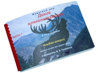 Пособие для слабовидящих "Дикие млекопитающие" - «globural.ru» - Кировград