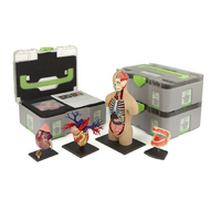 Учебный набор "Анатомия в деталях" - «globural.ru» - Кировград