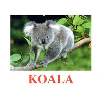 "Wild Animals-2" ("Дикие животные-2") английские карточки Домана - «globural.ru» - Кировград