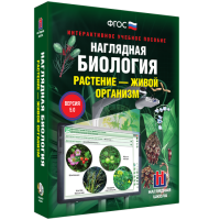 Наглядная биология. Растение - живой организм - «globural.ru» - Кировград