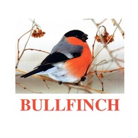 "Birds-1" ("Птицы-1") английские карточки Домана - «globural.ru» - Кировград