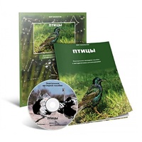 Электронное наглядное пособие «Птицы» - «globural.ru» - Кировград