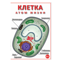 DVD Клетка - "атом жизни" - «globural.ru» - Кировград