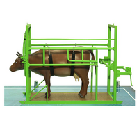 Наглядный макет «Методы и устройства для фиксации КРС» - «globural.ru» - Кировград