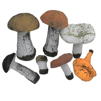 Набор муляжей грибов 7 штук - «globural.ru» - Кировград