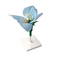 Модель цветка гороха - «globural.ru» - Кировград