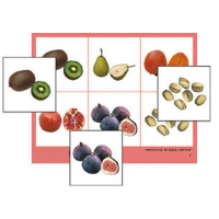 Лото "Фрукты, ягоды, орехи" (4 планшета, 24 карточки, цветное, ламинированное) - «globural.ru» - Кировград