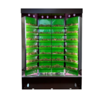 Вертикальная ферма "Моя Микрозелень" комплектация "Театро настольная" - «globural.ru» - Кировград