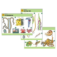 Комплект таблиц по биологии демонстрационный "Зоология 1" (14 таблиц, формат А1, лам.) - «globural.ru» - Кировград
