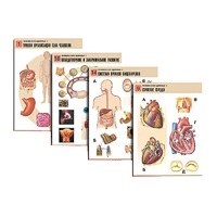 Комплект таблиц по биологии демонстрационный "Человек и его здоровье 1" (20 таблиц, формат А1, лам.) - «globural.ru» - Кировград