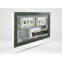 Сенсорная панель «Финансовая грамотность» для школ 55" - «globural.ru» - Кировград