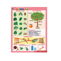 Комплект таблиц. Окружающий мир 5-6 лет. "Животные и растения". - «globural.ru» - Кировград