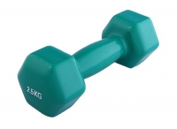 Гантель виниловая 2,5 кг - «globural.ru» - Кировград