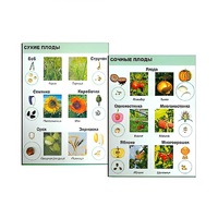 Коллекция "Семена и плоды" (вариант 2) - «globural.ru» - Кировград