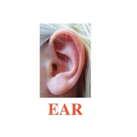 Карточки Домана "Body Parts" ("Части тела") на английском языке - «globural.ru» - Кировград