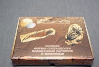 Коллекция "Формы сохранности ископаемых растений и животных" - «globural.ru» - Кировград