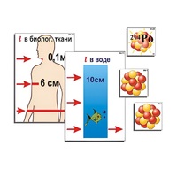 Модель-аппликация "Явление радиоактивности" (ламинированная) - «globural.ru» - Кировград