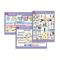 Комплект таблиц по органической химии "Реакции органических веществ" (6 таблиц, формат А1, лам.) - «globural.ru» - Кировград