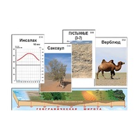 Модель-аппликация "Природные зоны" (ламинированная) - «globural.ru» - Кировград