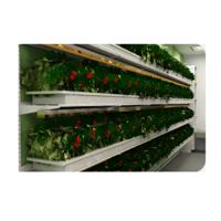 Стеллаж для выращивания клубники "Стена" - «globural.ru» - Кировград