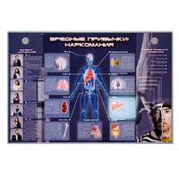 Электрифицированный стенд "Вредные привычки: наркомания" - «globural.ru» - Кировград