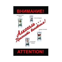 DVD Алкоголь. Признать виновным - «globural.ru» - Кировград