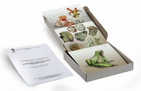 Модель-аппликация Взаимодействия в природных сообществах (набор из 23 карт) - «globural.ru» - Кировград