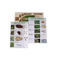 "Шишки, плоды, семена деревьев и кустарников" - «globural.ru» - Кировград