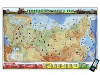 Электронно-информационный (маркерный) стенд "Природа России" адаптивный, с сенсорным пультом управления и планшетом со шрифтом Брайля (география) - «globural.ru» - Кировград