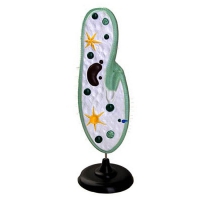 Модель инфузории-туфельки - «globural.ru» - Кировград