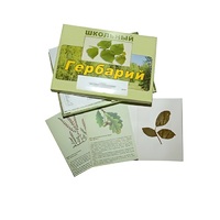 Гербарий "Дикорастущие растения" (30 видов, с иллюстрациями) - «globural.ru» - Кировград